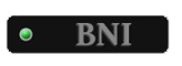 BNI